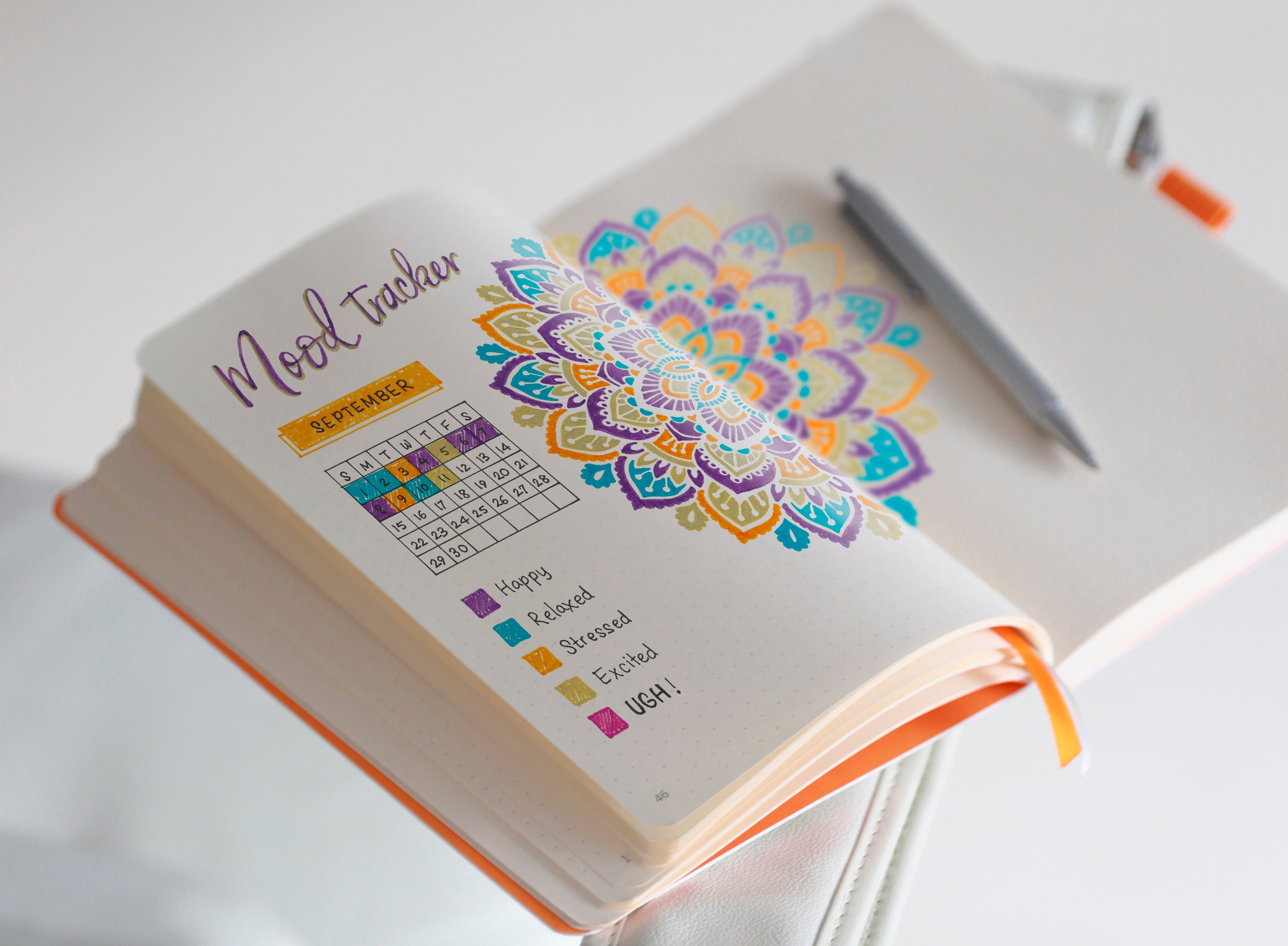 Rhodiarama Goalbook Bullet Journal