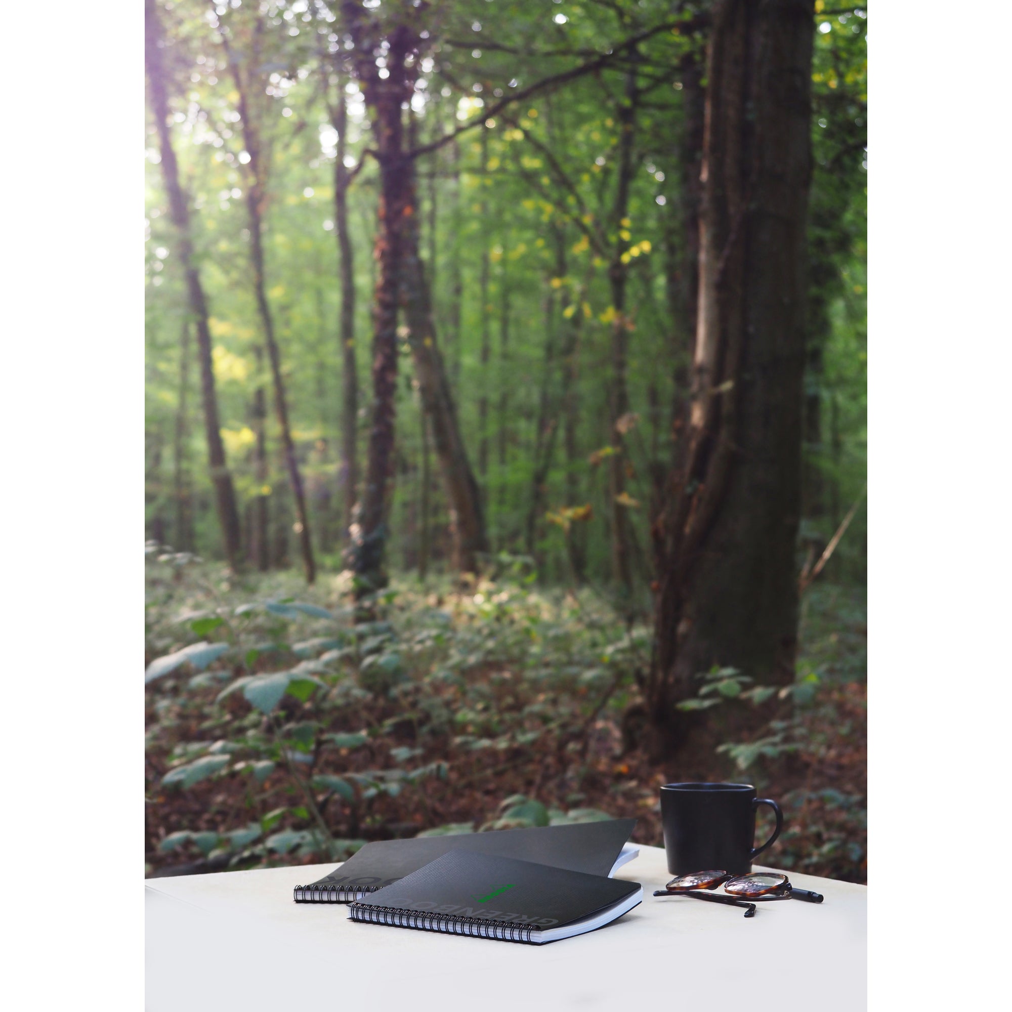 Rhodiactive GreenBook Wirebound A4+ Lined