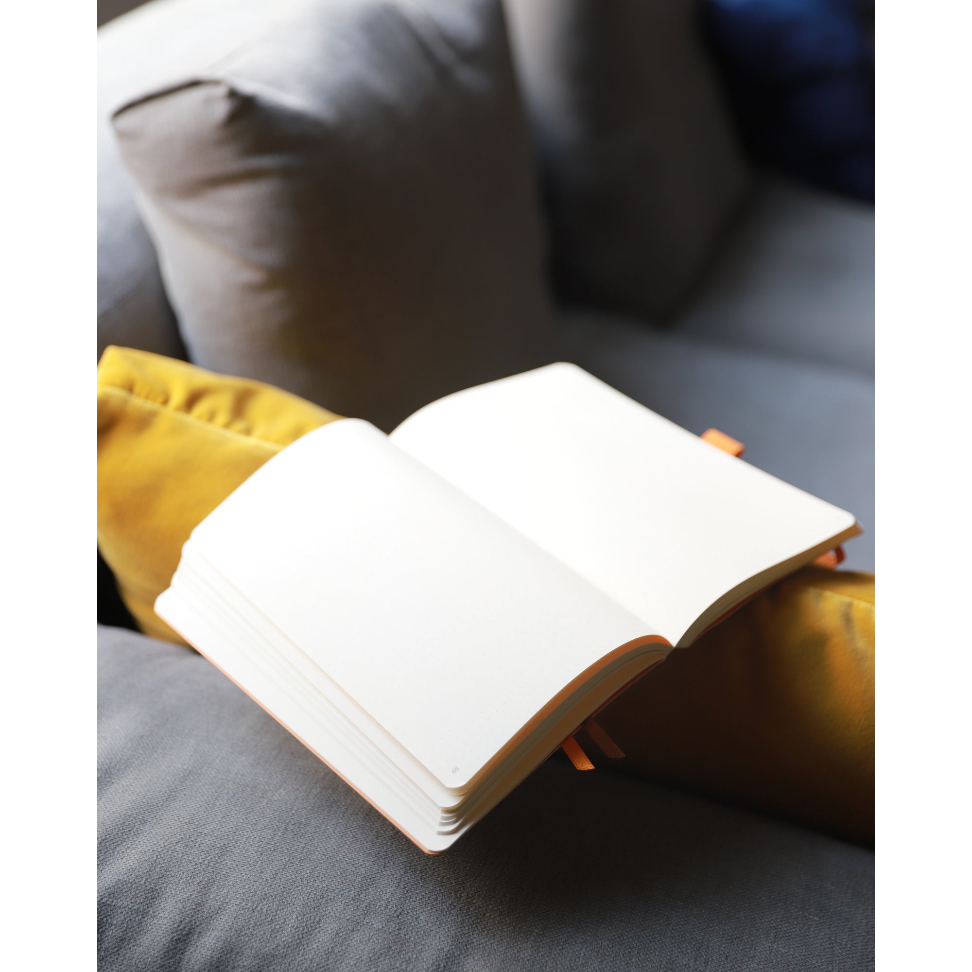 Rhodiarama Classic Softcover Notebook A5 Lined Gold